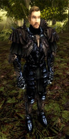 raven armor